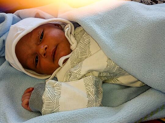 Familjen Här kan man titta på familjebilder .