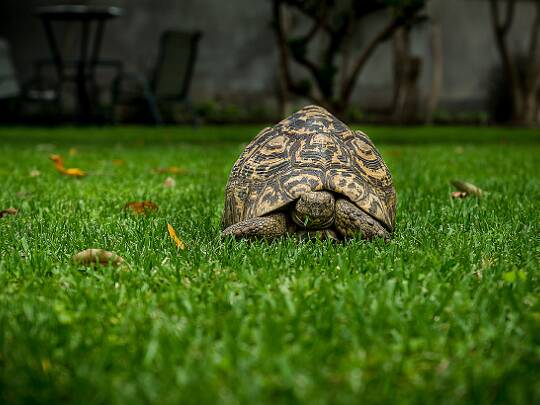Övrigt Här kan man titta på övriga...
