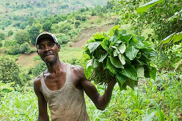 Farmare med sitt... Tanzania