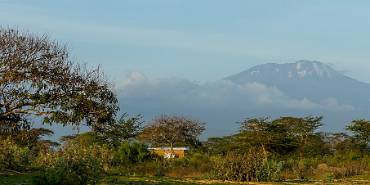Kilimanjaro 